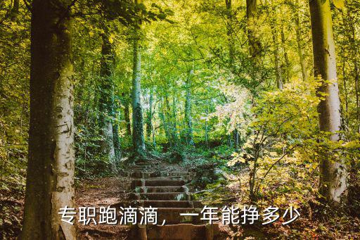 專職跑滴滴，一年能掙多少
