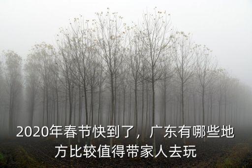 2020年春節快到了，廣東有哪些地方比較值得帶家人去玩