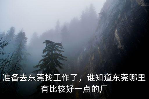 步步高工廠在東莞哪里,東莞長安附近的哪個工廠最好