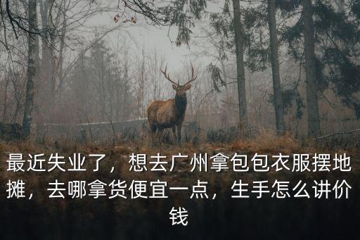 廣州衣服地攤去哪里擺,想去廣州拿包包衣服擺地攤