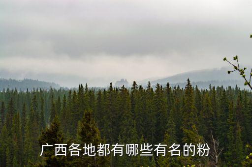 廣西各地都有哪些有名的粉