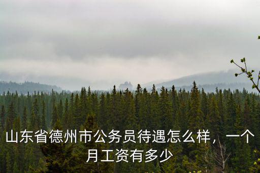 山東省德州市公務員待遇怎么樣，一個月工資有多少