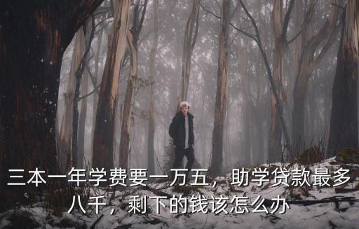 杭州三本學費多少錢一年,三本一年學費要一萬五
