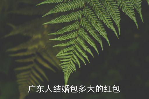 廣東普寧結婚要包多少紅包,廣東人結婚包多大的紅包