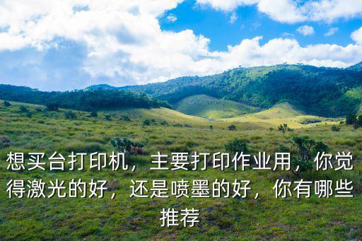 想買臺(tái)打印機(jī)，主要打印作業(yè)用，你覺得激光的好，還是噴墨的好，你有哪些推薦