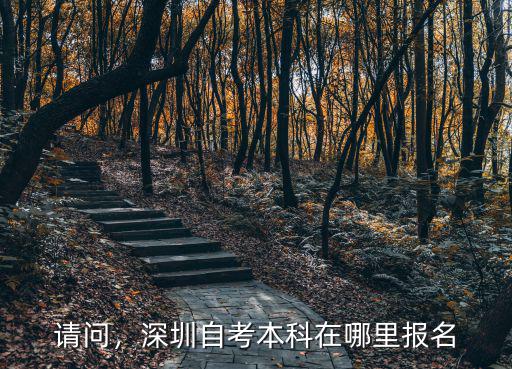 深圳自考本科在哪里報,深圳自考本科該怎么報名