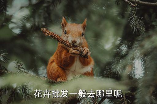 中山哪里有干花批發,花卉批發一般去哪里呢