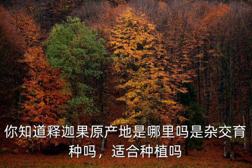 你知道釋迦果原產地是哪里嗎是雜交育種嗎，適合種植嗎