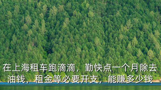 在上海租車跑滴滴，勤快點一個月除去油錢，租金等必要開支，能賺多少錢