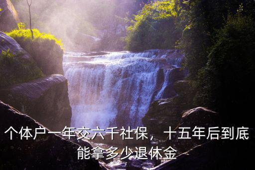 山東個體戶一年交多少稅,個體戶一年交六千社保