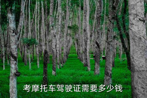 考摩托車駕駛證需要多少錢