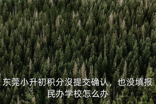 東莞小升初公辦要多少分,東莞小升初積分沒提交確認