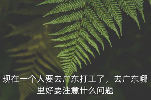 現在一個人要去廣東打工了，去廣東哪里好要注意什么問題