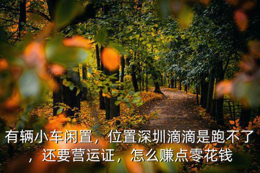 深圳滴滴怎么賺點零花,位置深圳滴滴是跑不了