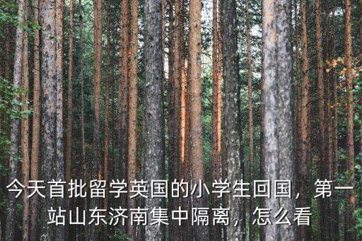 英國回國多少人到濟南,為何英國留學生回國