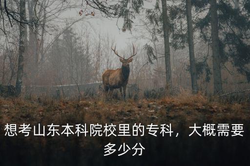 山東專升本分數(shù)線預(yù)計多少,大概需要多少分