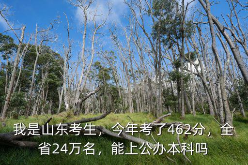 山東考生多少分才能上公辦本科,能上公辦本科嗎