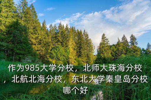 作為985大學分校，北師大珠海分校，北航北海分校，東北大學秦皇島分校哪個好