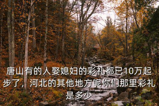 唐山有的人娶媳婦的彩禮都已10萬(wàn)起步了，河北的其他地方呢你們那里彩禮是多少