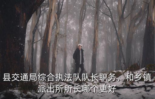 縣交通局綜合執法隊隊長職務，和鄉鎮派出所所長哪個更好