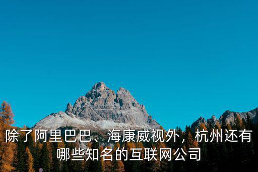 杭州游戲網絡公司有多少,杭州有哪些不錯的互聯網公司