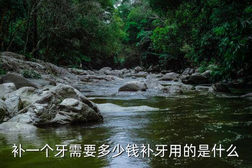 湛江做一顆牙齒多少錢,你們補一顆牙齒花了多少錢