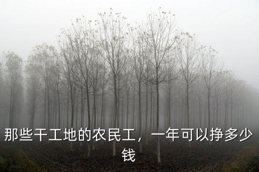 那些干工地的農民工，一年可以掙多少錢