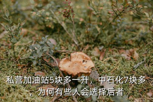 私營(yíng)加油站5塊多一升，中石化7塊多，為何有些人會(huì)選擇后者