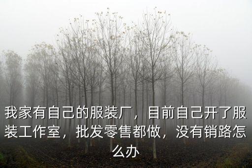 我家有自己的服裝廠，目前自己開了服裝工作室，批發(fā)零售都做，沒有銷路怎么辦