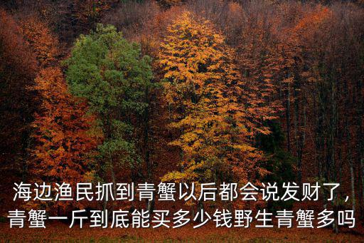 海邊漁民抓到青蟹以后都會(huì)說(shuō)發(fā)財(cái)了，青蟹一斤到底能買(mǎi)多少錢(qián)野生青蟹多嗎