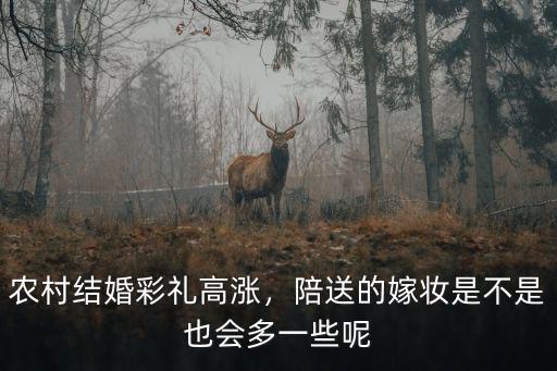 浙江結(jié)婚彩禮20萬(wàn)嫁妝會(huì)多少,農(nóng)村結(jié)婚彩禮高漲