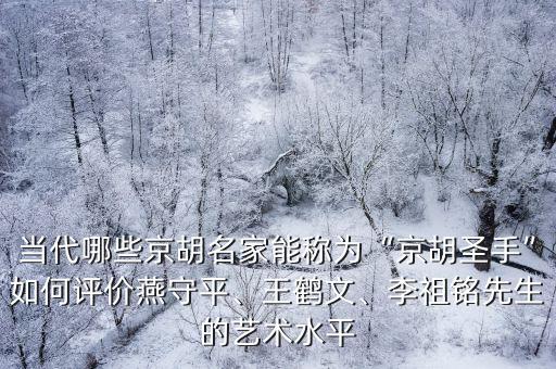 廣州哪里有賣真正的京胡的,哪里有賣京胡的
