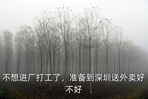 不想進廠打工了，準備到深圳送外賣好不好