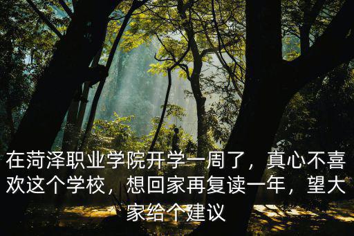 菏澤職業(yè)學(xué)院多少分,菏澤都有哪些大學(xué)