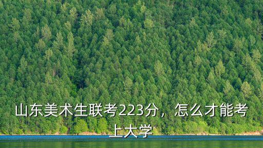 山東美術藝考聯考多少分能上,山東省美術聯考考了225分