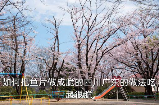 廣東脆魚片怎么做,如何把魚片做成脆的