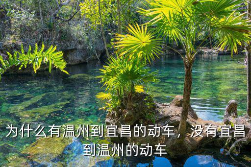 溫州南到宜昌東動(dòng)車票價(jià)多少,為什么有溫州到宜昌的動(dòng)車