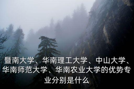廣東華南農(nóng)業(yè)大學(xué)金融專業(yè)怎么樣,華南師范大學(xué)