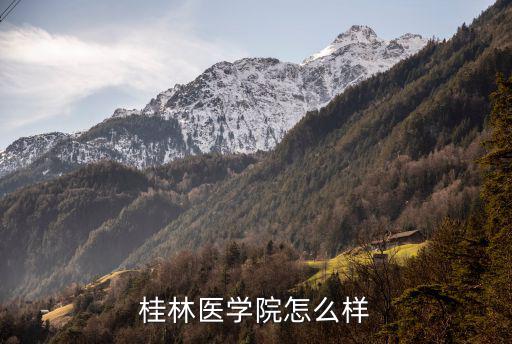 桂林醫(yī)學(xué)院在山東錄取分?jǐn)?shù)線是多少,近年錄取分?jǐn)?shù)線是多少