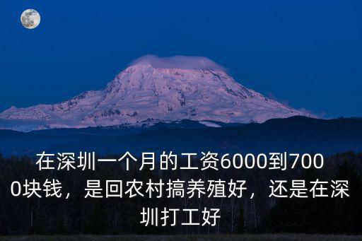 在深圳一個月的工資6000到7000塊錢，是回農村搞養殖好，還是在深圳打工好
