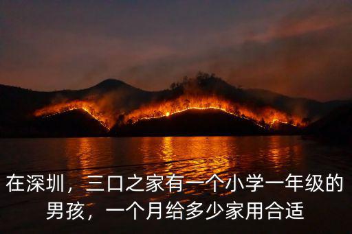 在深圳，三口之家有一個小學一年級的男孩，一個月給多少家用合適