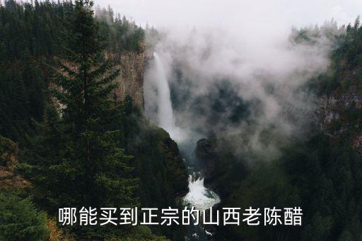 廣州哪里能買到正宗山西陳醋,哪能買到正宗的山西老陳醋