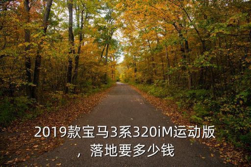 2019款寶馬3系320iM運動版，落地要多少錢