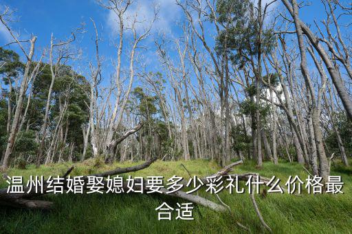 娶浙江模特要多少彩禮,溫州結(jié)婚娶媳婦要多少彩禮
