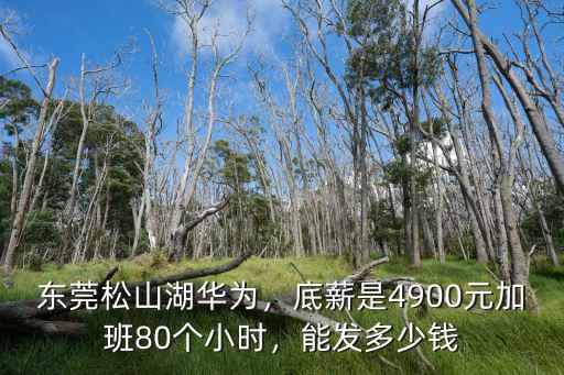 東莞松山湖華為，底薪是4900元加班80個小時，能發多少錢