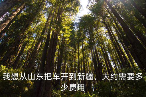 山東到新疆一大卡車(chē)運(yùn)費(fèi)多少,大約需要多少費(fèi)用