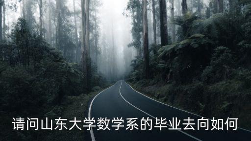 請問山東大學數學系的畢業去向如何