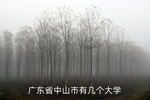 廣東中山有多少本地人,廣東省中山市有幾個(gè)大學(xué)