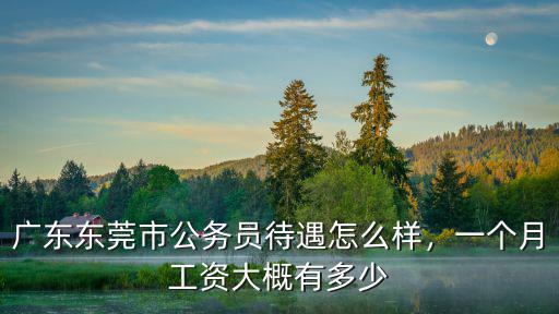 東莞老師月工資多少錢一個月,東莞幼教月薪多少正常