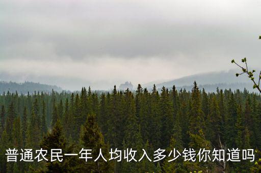 普通農民一年人均收入多少錢你知道嗎